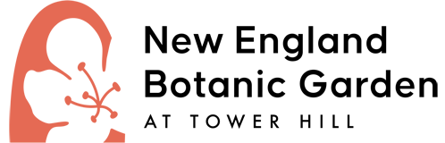 New England Botanic Garden